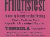 Affisch: Stor friluftsfest (1919)