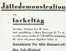 Bild 09. Jättedemonstration och fackeltåg, 1935